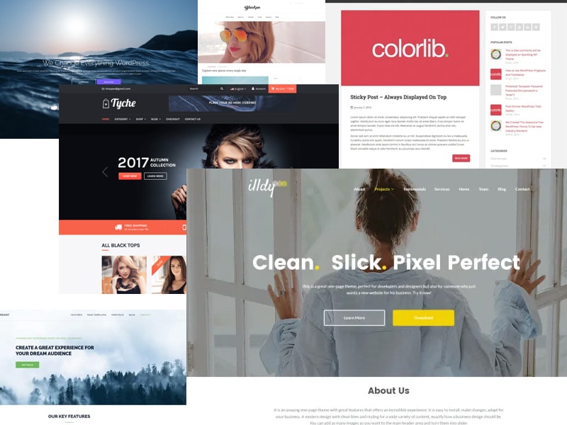 Responsive and Free WordPress Themes