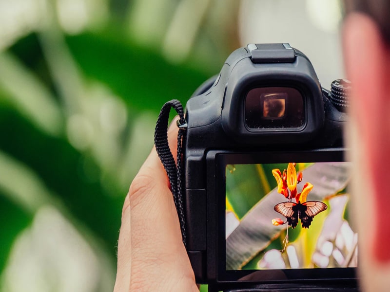 Best-Free-Photography-WordPress-Themes-2021