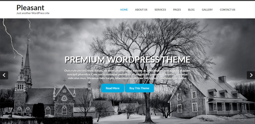 Premium WordPress Theme