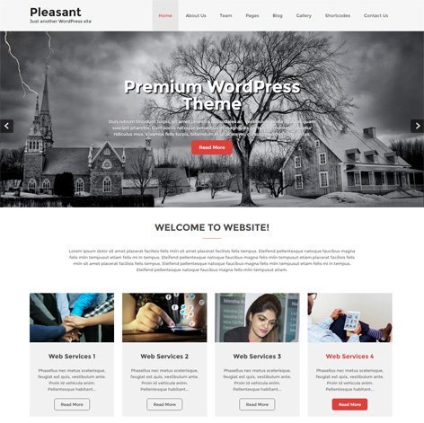 Premium Wordpress Theme