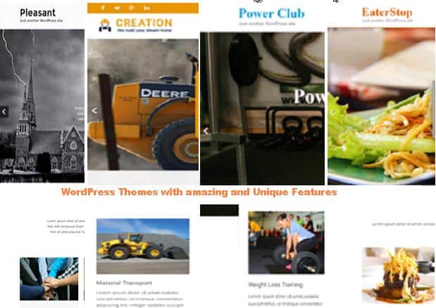 WordPress Themes