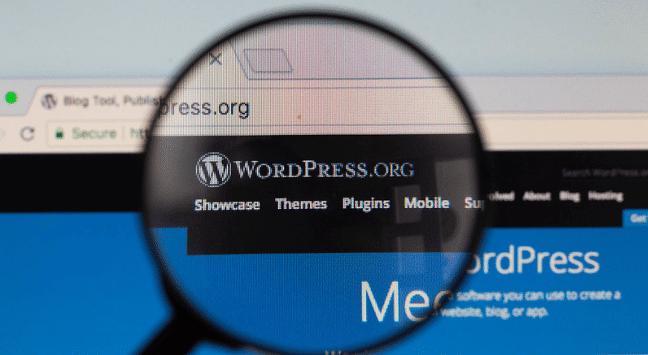 3 Ways To Build Your Own Website With WordPress Theme!